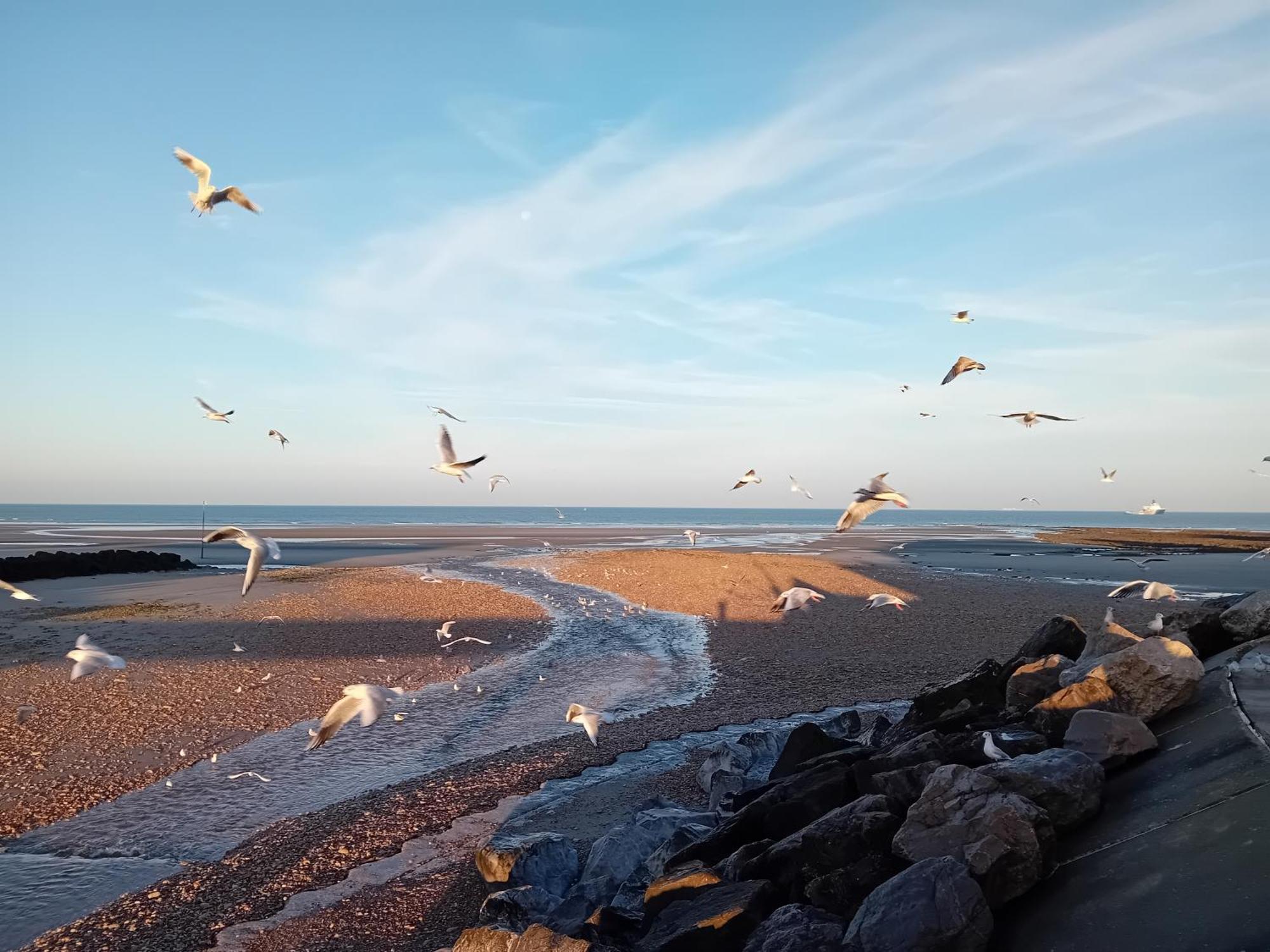 Thalassa Audresselles Bagian luar foto